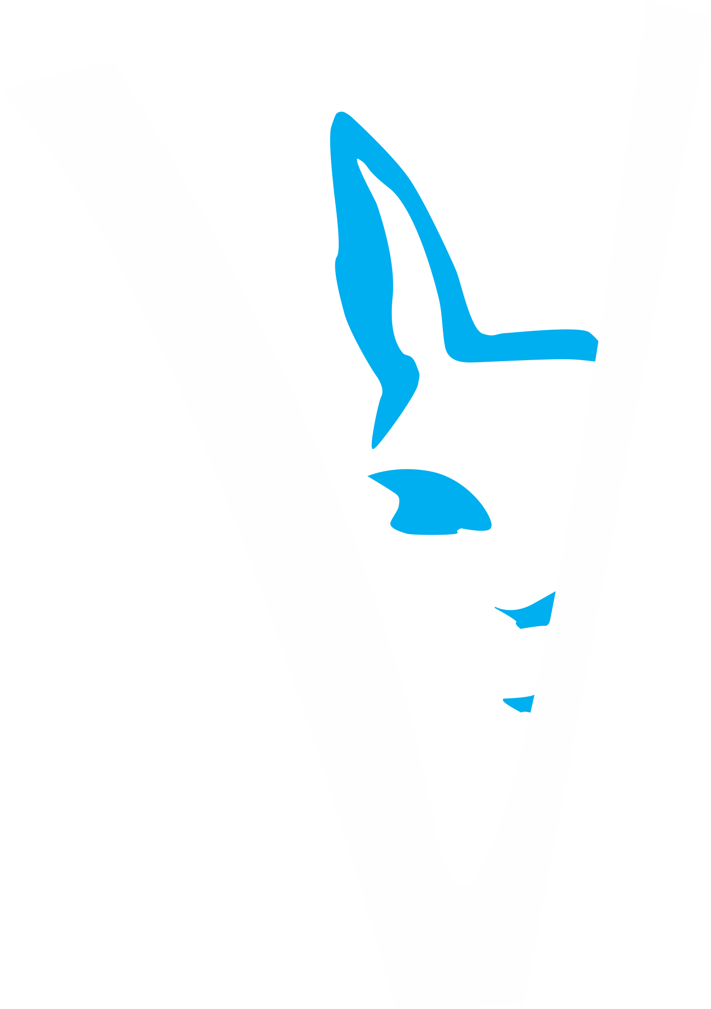 VICUNA INGENIEROS